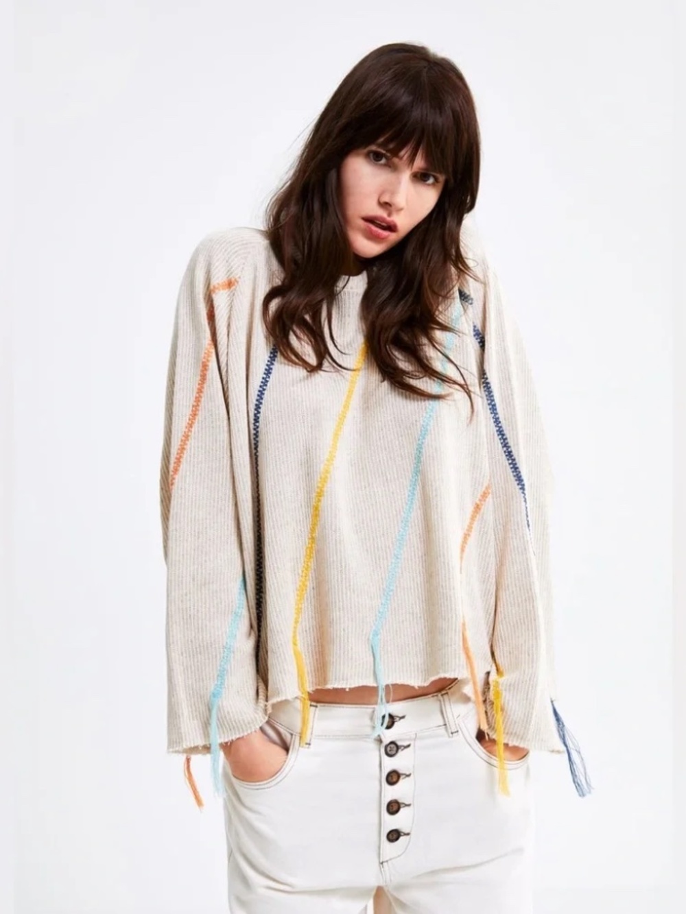 Zara Multicolor Fringe Sweater